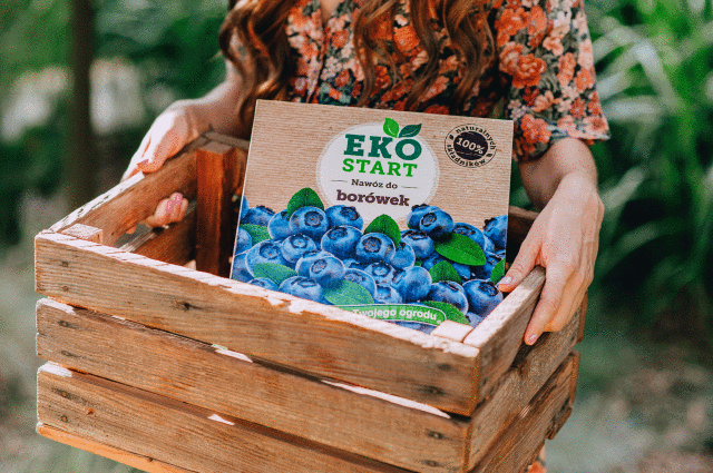 kobieta niesie drewnianą skrzynkę a w niej nawóz do borówek