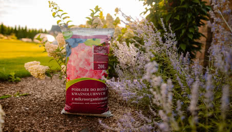 Jak podłoża z mikroorganizmami wspomagają rośliny?