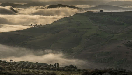 Fotograficzne „Listy ze świata”