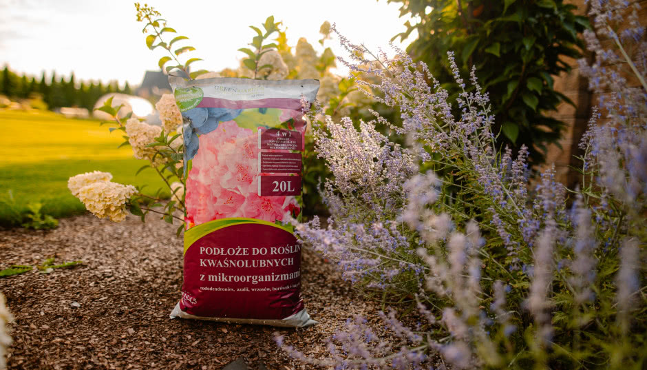 Jak podłoża z mikroorganizmami wspomagają rośliny?
