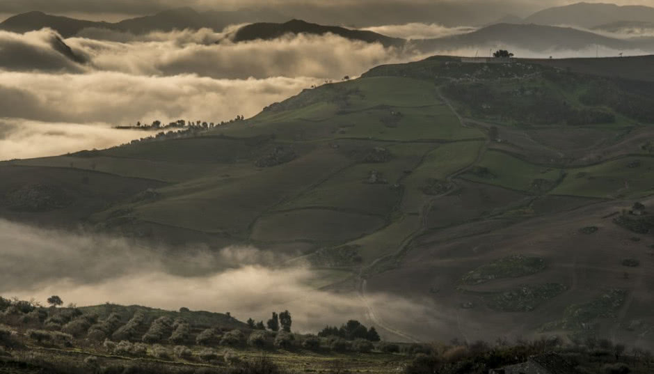 Fotograficzne „Listy ze świata”