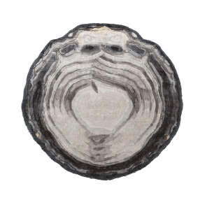 Złudzenie optyczne dywan