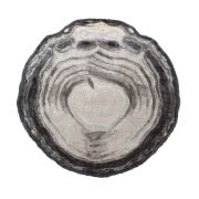 Stolik Piano, KARE DESIGN, 2690 zł