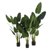 Sztuczna Strelicja w doniczce