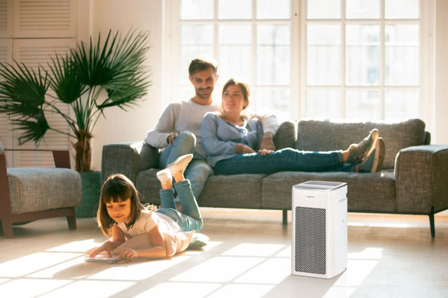 kanapa, fotel, Palma w doniczce, oczyszczacz powietrza, duże okno, dziecko na podłodze czyta książkę