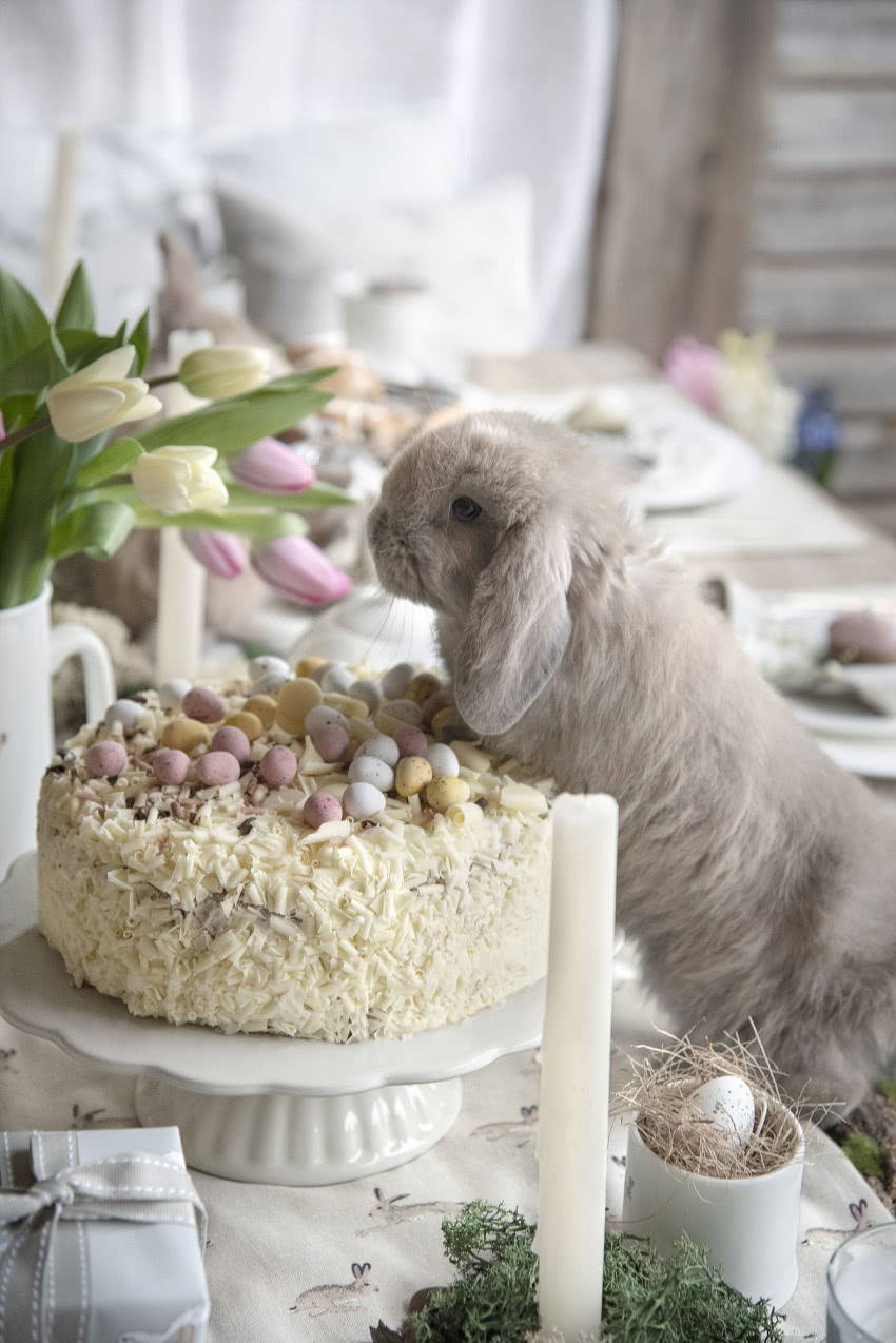 fot. Sophie Allportfot.