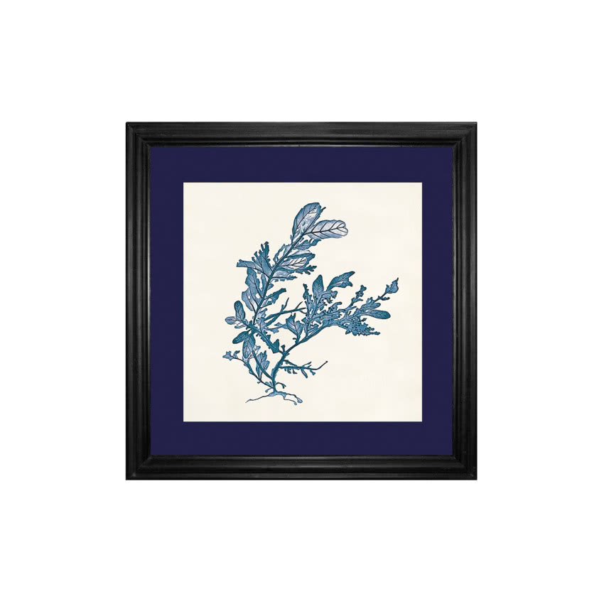 Dekoracja ścienna Indigo Algae III, westwing.pl,...