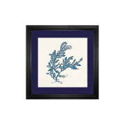 Dekoracja ścienna Indigo Algae III, westwing.pl,...