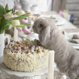 Ozdoby wielkanocne do wnętrz - jak przygotować dom na nadejście Wielkanocy?