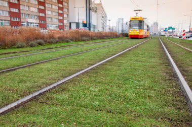 Biophilic design w stolicy! Miasto zdobią zielone tory tramwajowe