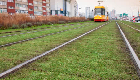 Biophilic design w stolicy! Miasto zdobią zielone tory tramwajowe