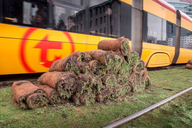 Biophilic design w stolicy! Miasto zdobią zielone tory tramwajowe