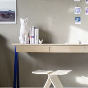 Porost pobrany z lasu i osadzony w dębowej...