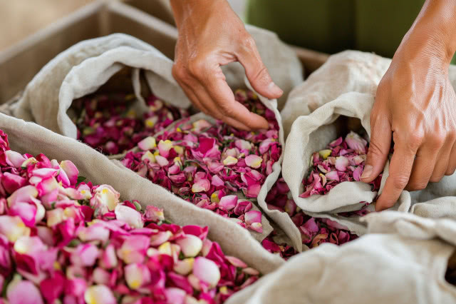 ręce, w workach płatki róż