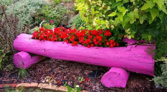 Nagrodzone zdjęcie - nadesłane przez p. Krystynę...