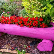 Nagrodzone zdjęcie - nadesłane przez p. Dorotę...