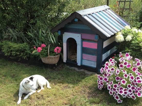 Nagrodzone zdjęcie - nadesłane przez p. Dorotę...