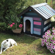 Nagrodzone zdjęcie - nadesłane przez p. Dorotę...