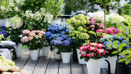 Kolorowo przez cały sezon