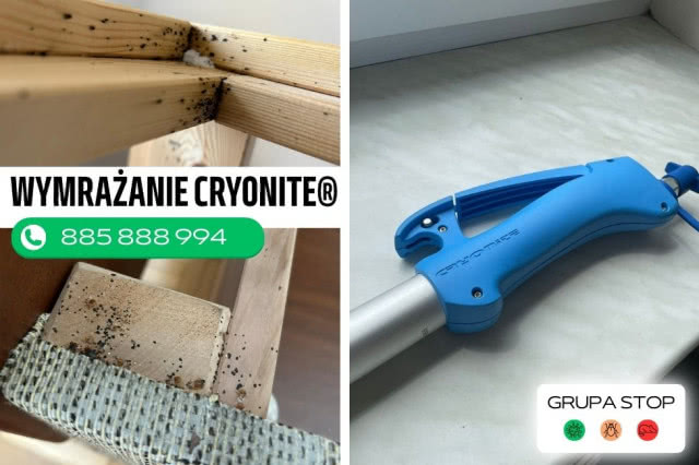 wymrażanie cryonite