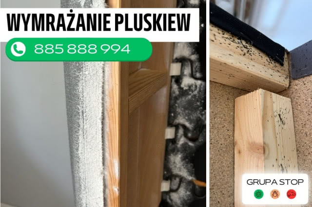 wymrażanie pluskiew