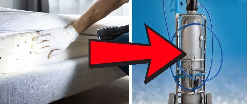 Wymrażanie pluskiew metodą Cryonite - efekty nawet po jednym zabiegu 