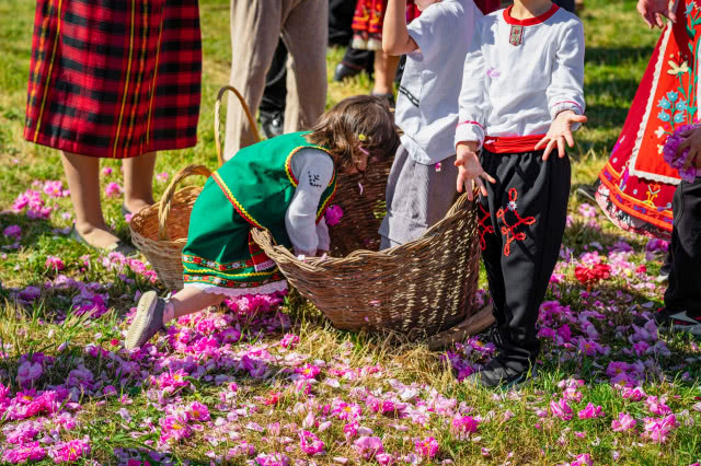 kosze płatów róż