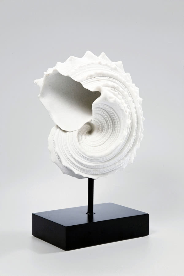 Dekoracja Conch White, wym.: 42 x 25 x 18 cm,...