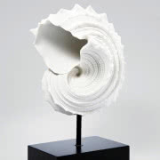 Dekoracja Conch White, wym.: 42 x 25 x 18 cm,...