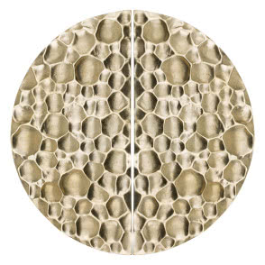 mosiężny uchwyt z kolekcji Moon