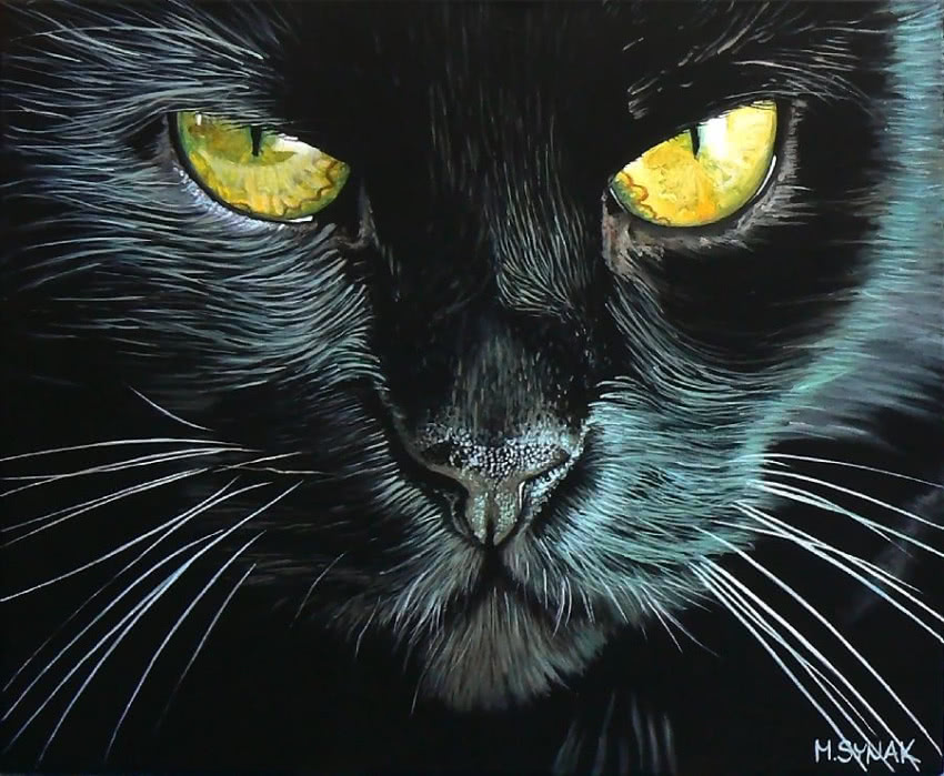 Monika Synak, "Dzikość", 2011, akryl, płótno, 50...