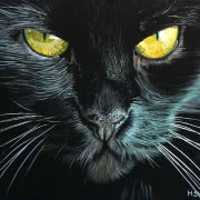 Monika Synak, "Dzikość", 2011, akryl, płótno, 50...