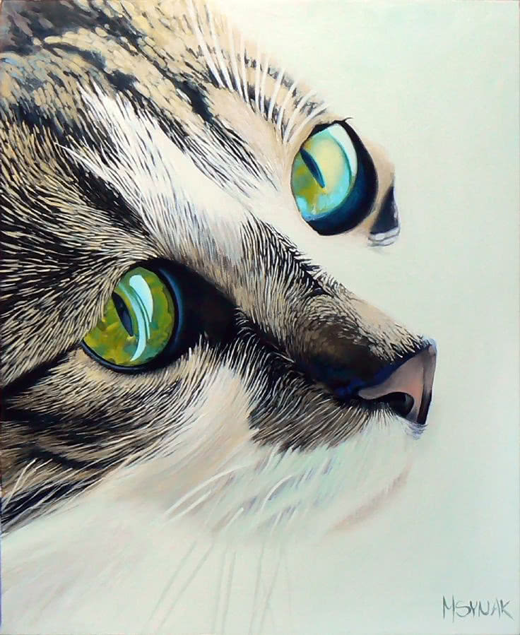 Monika Synak, "Kocie spojrzenie", 2012, akryl,...