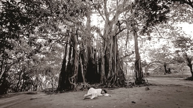 Marina Abramović
„Sleeping Under the
Banyan Tree", performans
dokamerowy, 2010 © Marina
Abramović, dzięki uprzejmości
Archiwum Mariny Abramović
