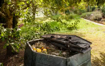 Kompostownik w ogrodzie - jaki wybrać i dlaczego?