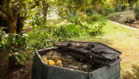 Kompostownik w ogrodzie - jaki wybrać i dlaczego?