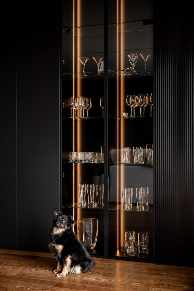 podświetlania witryna szklana