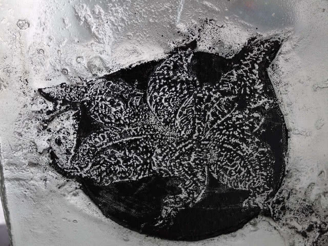 Rusza Wystawa CORSYDIANY „3000 lat gwarancji”!