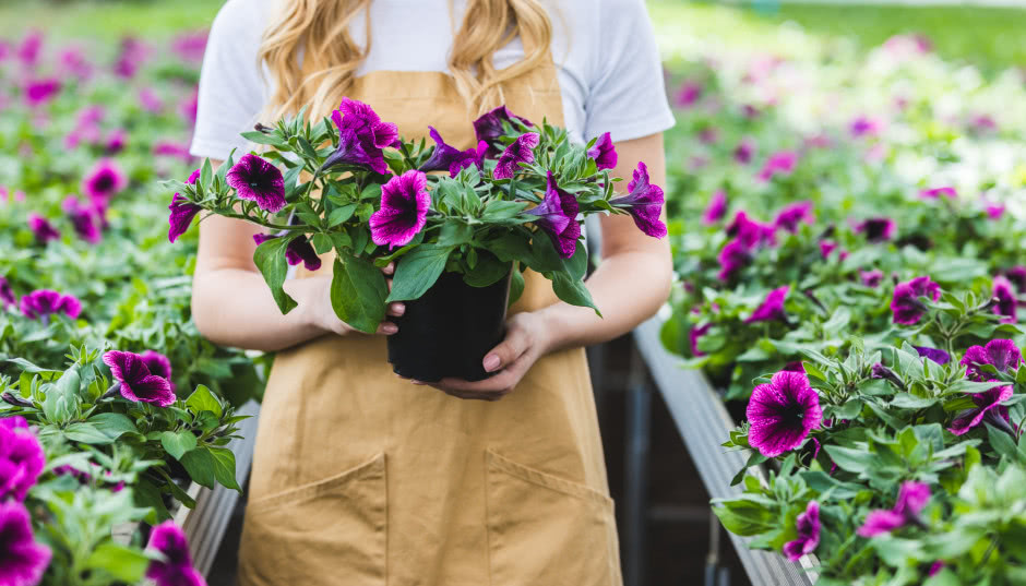 Niewymagające kwiaty na balkon - sprawdzą się nawet u laików!