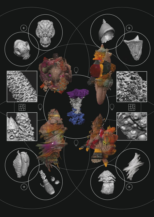 Praca Adriana Villara Rojasa, którą zainspirował ptak hornero.