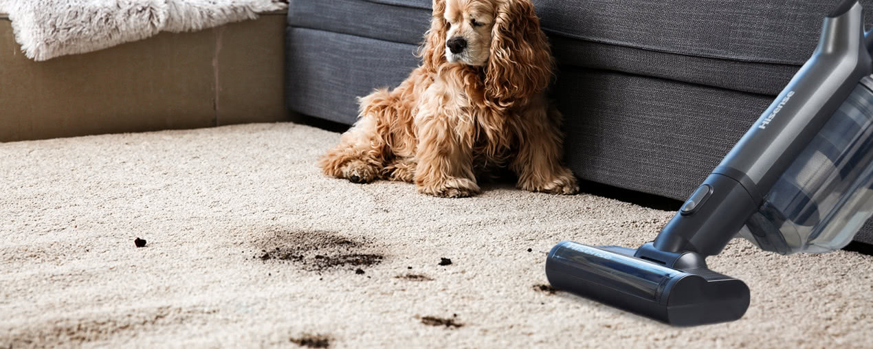 Jak w nowoczesny sposób dbać o czystość w domu?