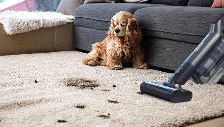 Jak w nowoczesny sposób dbać o czystość w domu?