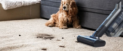 Jak w nowoczesny sposób dbać o czystość w domu?