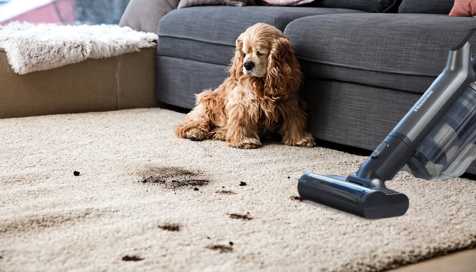Jak w nowoczesny sposób dbać o czystość w domu?