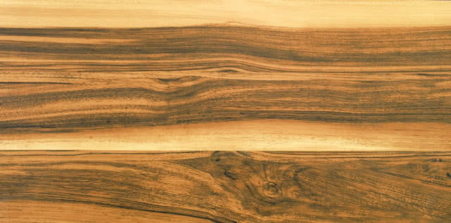Savage Gold Natural, ceramika, 45 x 90 cm, Coram Poland