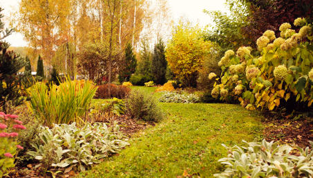Posadź jesienią, a będziesz miał piękny ogród w nowym sezonie 