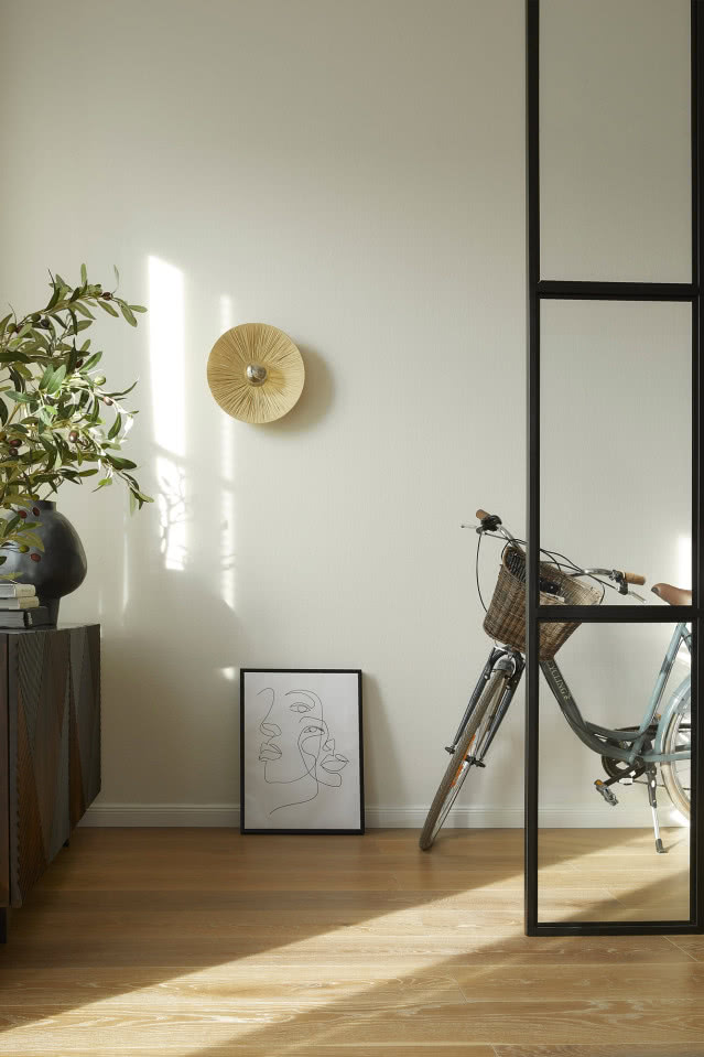 rower w przedpokoju, od salonu odgradza przedpokój szklana ścianka