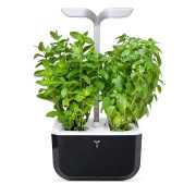 Konewka Diva, Alessi,DESIGN FOR HOME, 209 zł