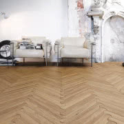 Listone Giordano, Las Fontaines, cykl życia lasu