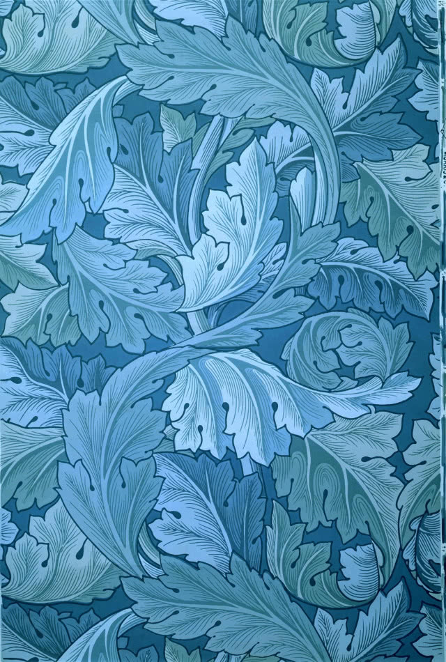 tapeta z liśćmi akantu